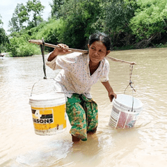 A woman stands in shallow muddy water, balancing two large buckets on a wooden pole across her shoulders. She wears a patterned skirt, a light shirt, and is surrounded by green trees in the background.